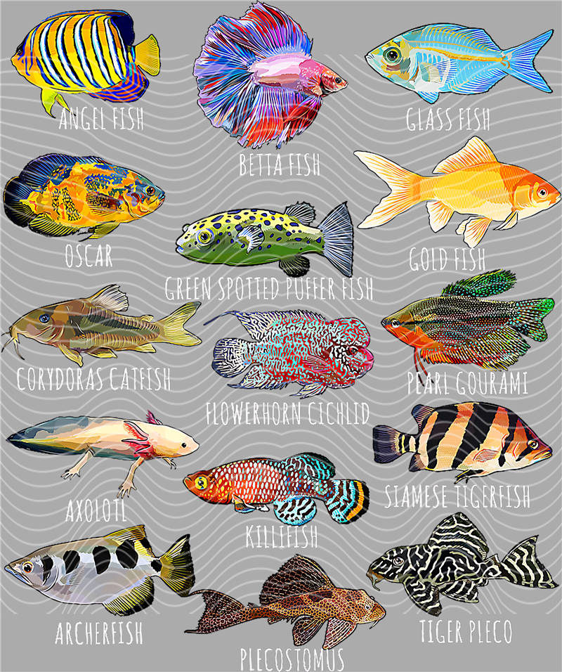 Fishing Series-DY 116